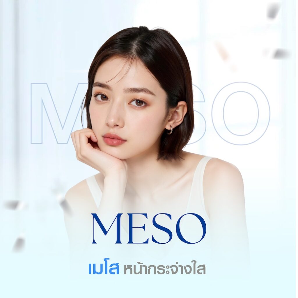 Review MESO