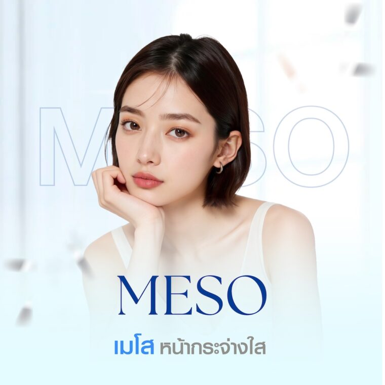 Review MESO