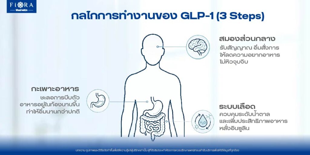 GLP-1 Receptor Agonist